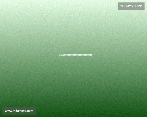 FIFA14巴西世界杯足球游戏经典赛场激情重现绿茵传奇体验